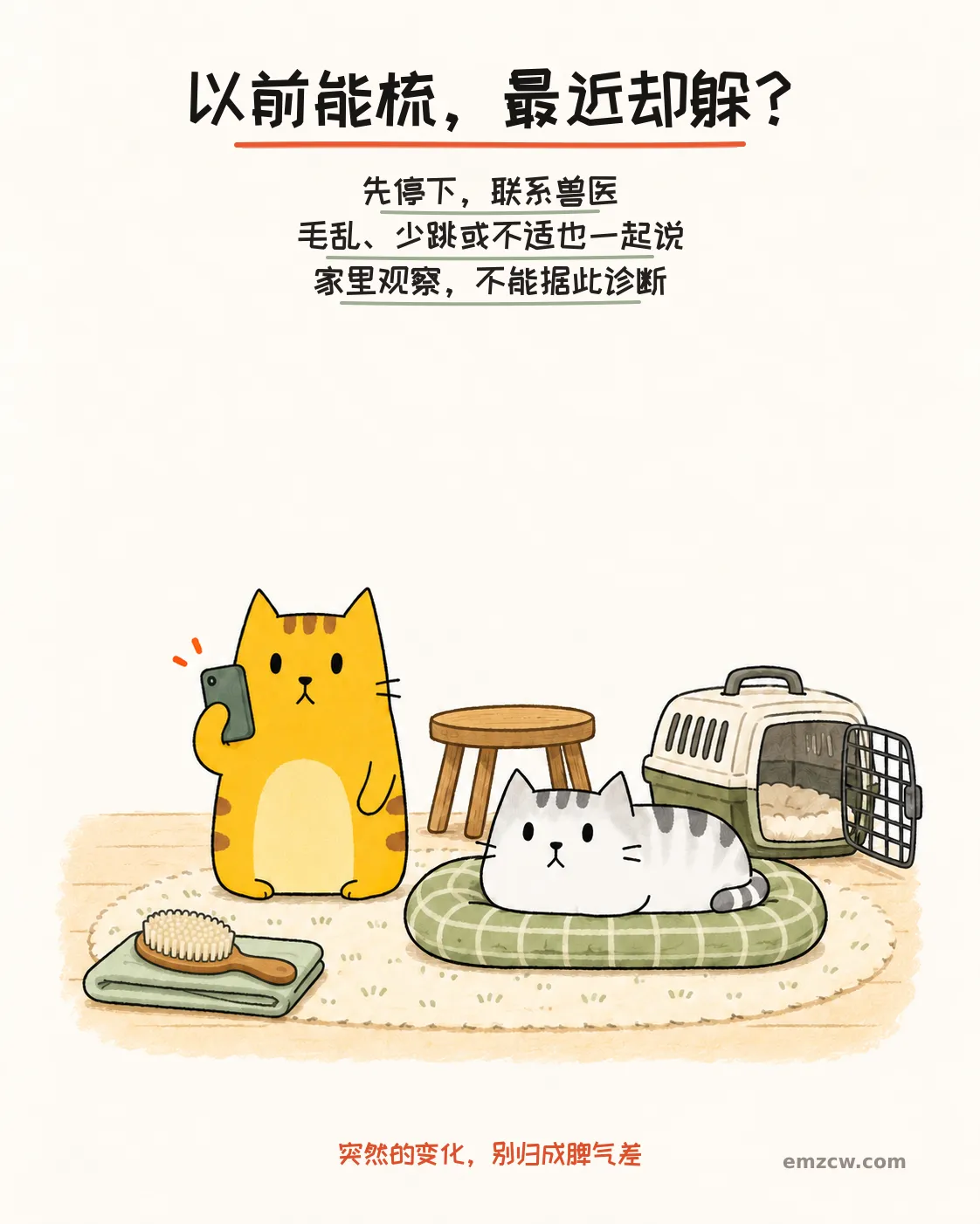 二猫子一只拨电话，另一只卧在软垫上，旁边的梳毛刷已停用，说明突然抗拒触碰要先停并联系兽医