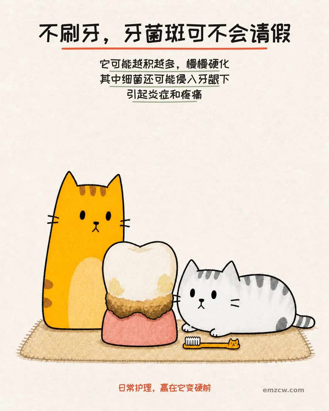 橘猫和银渐层看着带有牙菌斑和褐色硬沉积的牙齿模型，说明牙菌斑可能硬化并影响牙龈