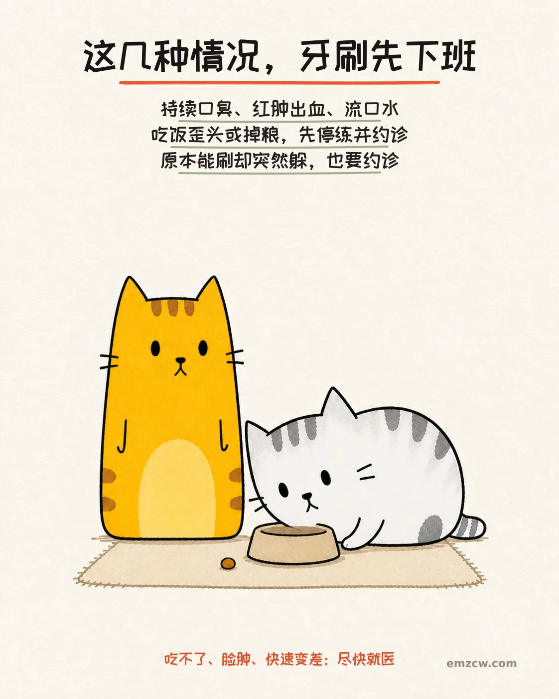 银渐层坐在饭碗旁歪头并掉下一颗粮，橘猫在一旁观察，提醒发现口腔异常要停练约诊