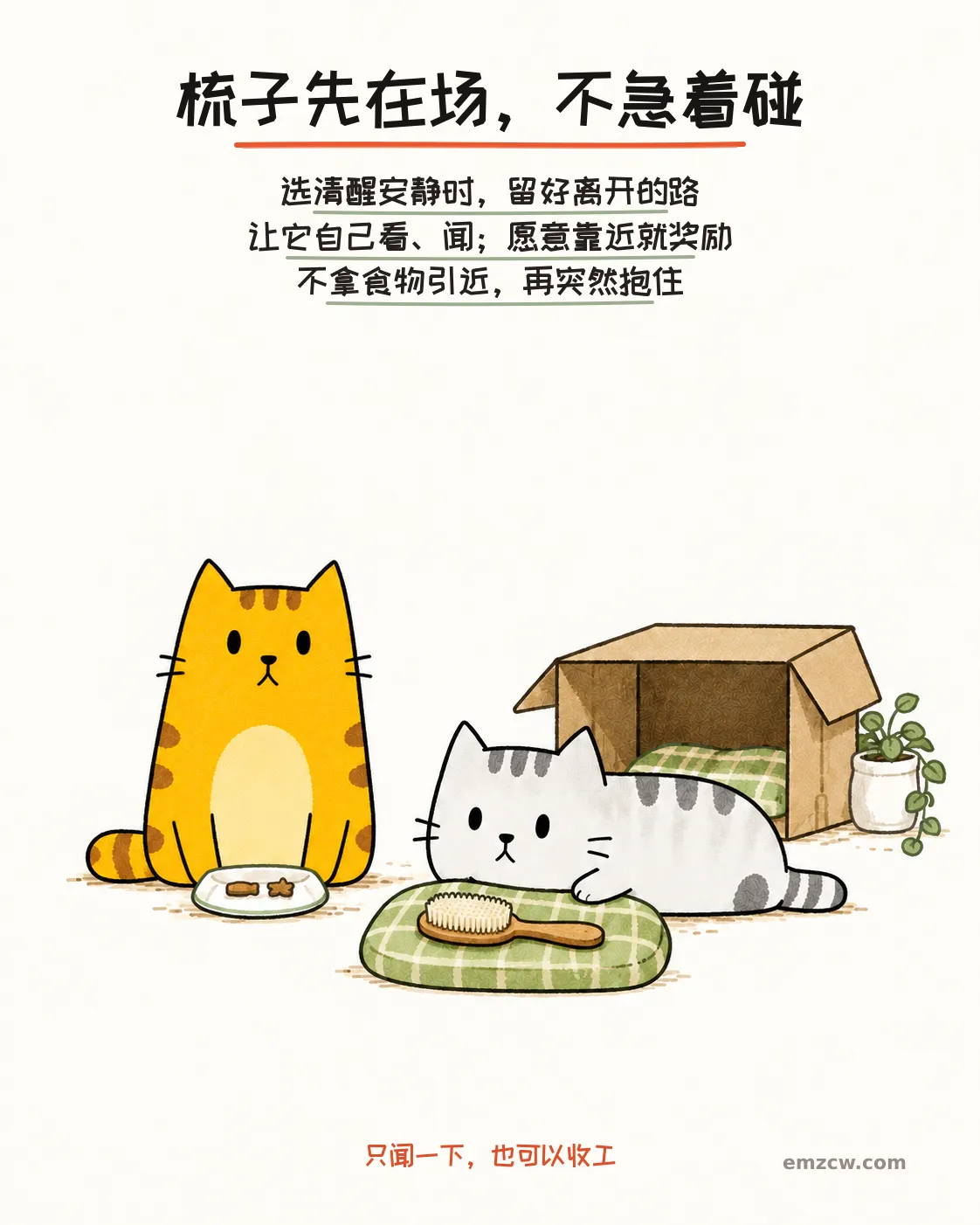 二猫子一只自主查看软垫上的梳毛刷，另一只守着奖励安静等待，身后有纸箱退路，说明先熟悉工具而不抱住猫