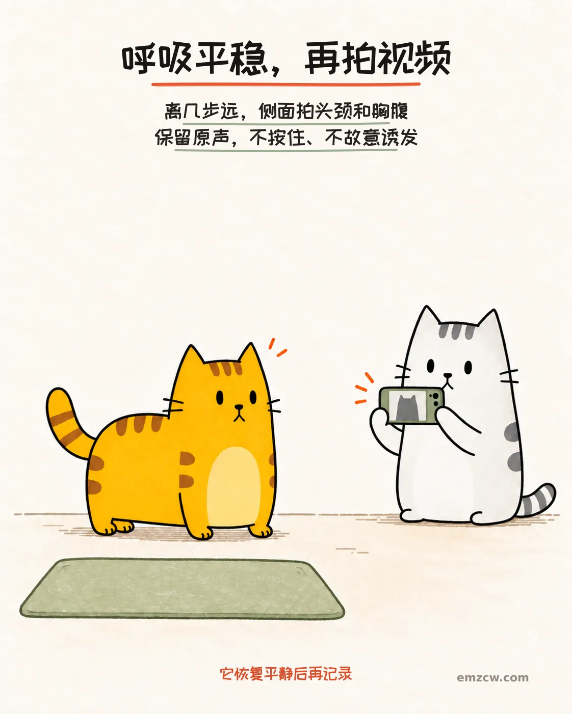 二猫子一只放松站在侧面，另一只隔着距离横向拍摄，说明恢复平静后再记录头颈和胸腹