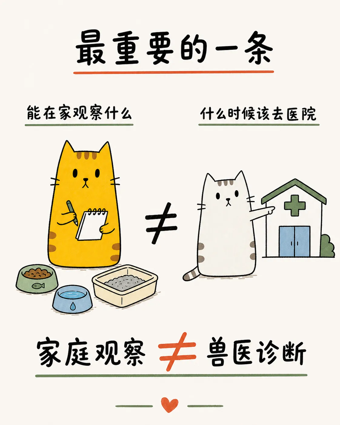 二猫子说明家庭观察不能代替兽医诊断，出现急症信号要及时就医