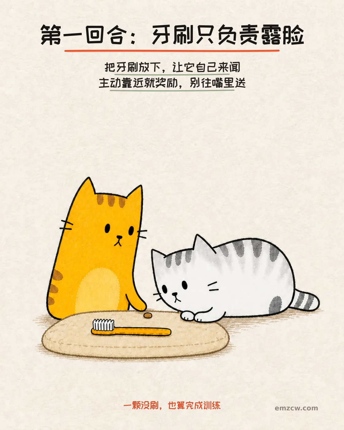 银渐层主动闻软垫上的牙刷，橘猫陪在旁边，演示先熟悉牙刷再开始练习