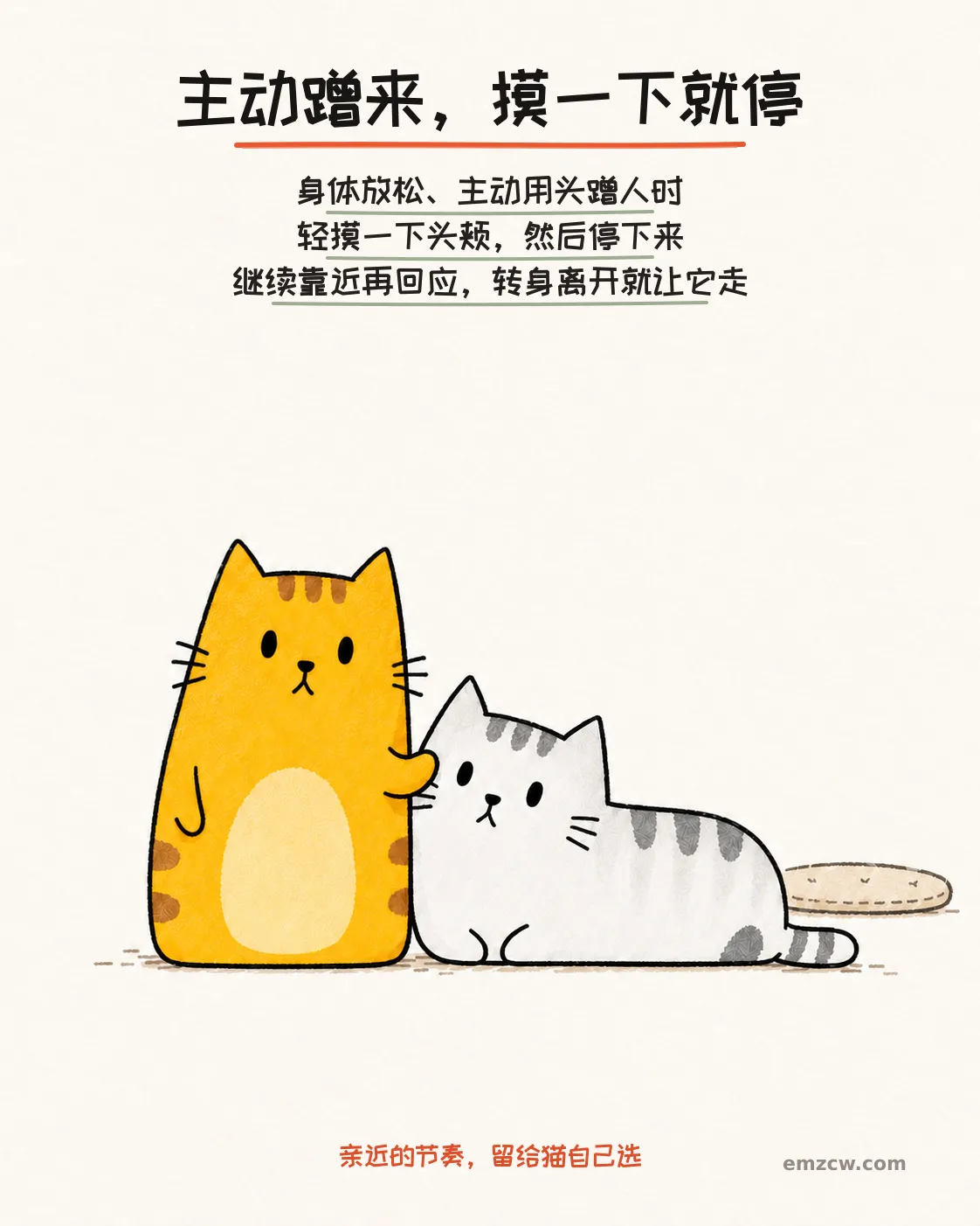 二猫子一只放松地主动靠近同伴,另一只短暂轻碰它的头颊,说明摸一下就停、走开就让它走