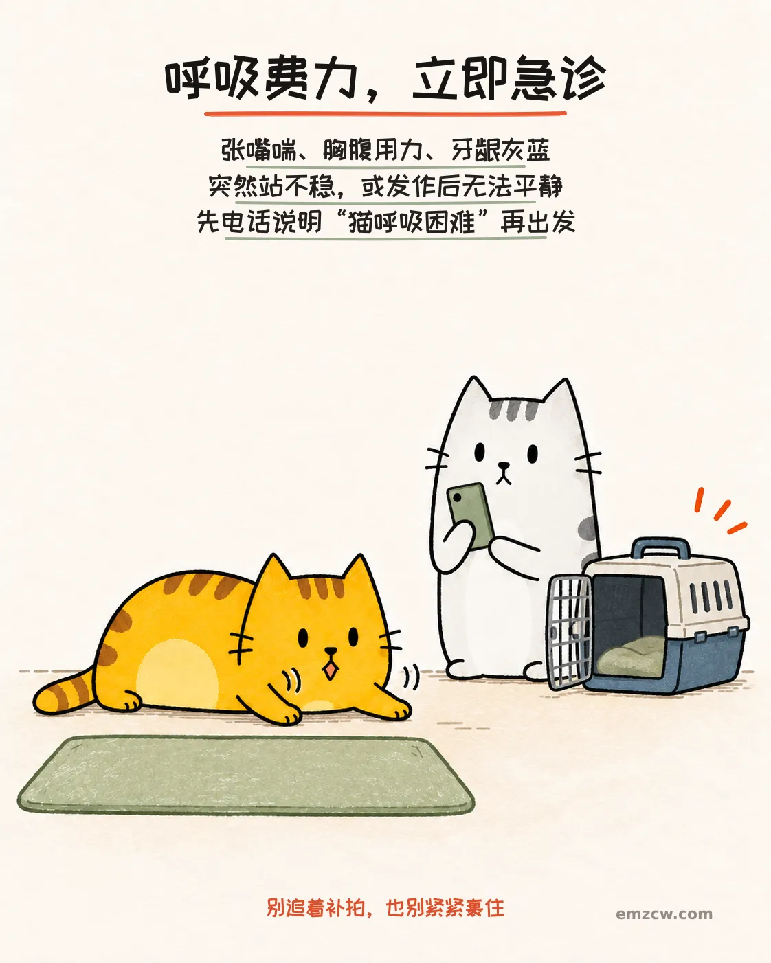 二猫子一只低伏张嘴且胸腹起伏，另一只守在电话和打开的航空箱旁，提醒呼吸费力要立即急诊