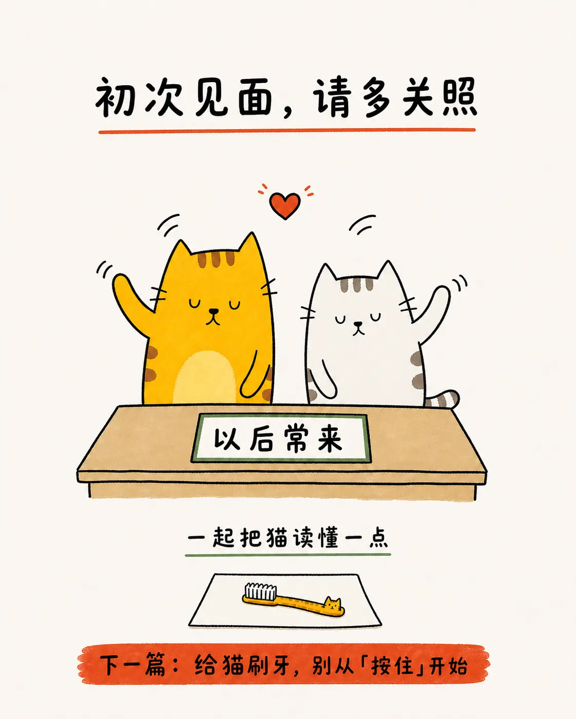 橘猫和银渐层预告下一期会聊猫咪刷牙