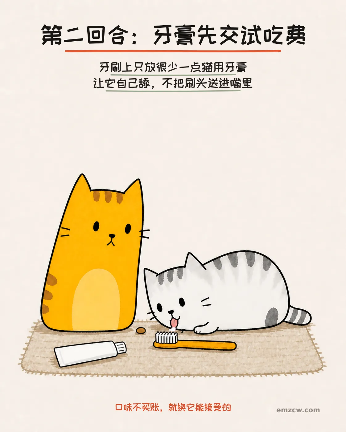银渐层主动舔牙刷上的一点猫用牙膏，橘猫在旁边安静等待，演示不把刷头送进嘴里