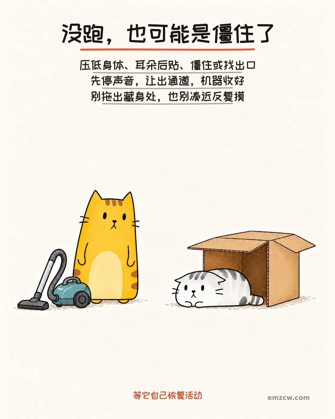 二猫子一只在纸箱前压低身体并把耳朵后贴，另一只停用机器并留出通道，提醒僵住也是紧张信号且不要拖猫出来