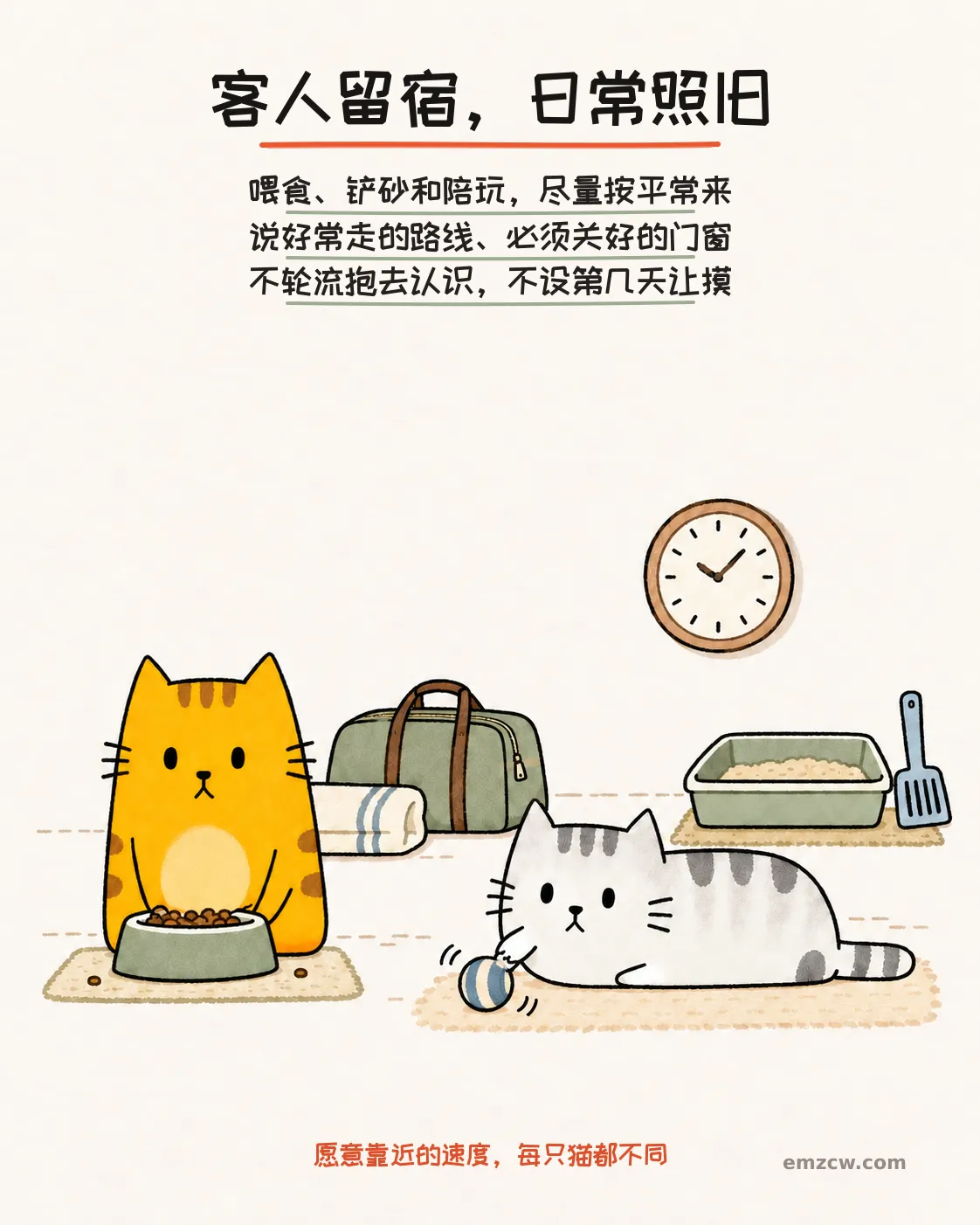二猫子各自吃饭和玩球,旁边有旅行包、时钟及分开的砂盆,说明客人留宿时喂食、铲砂和陪玩尽量照旧