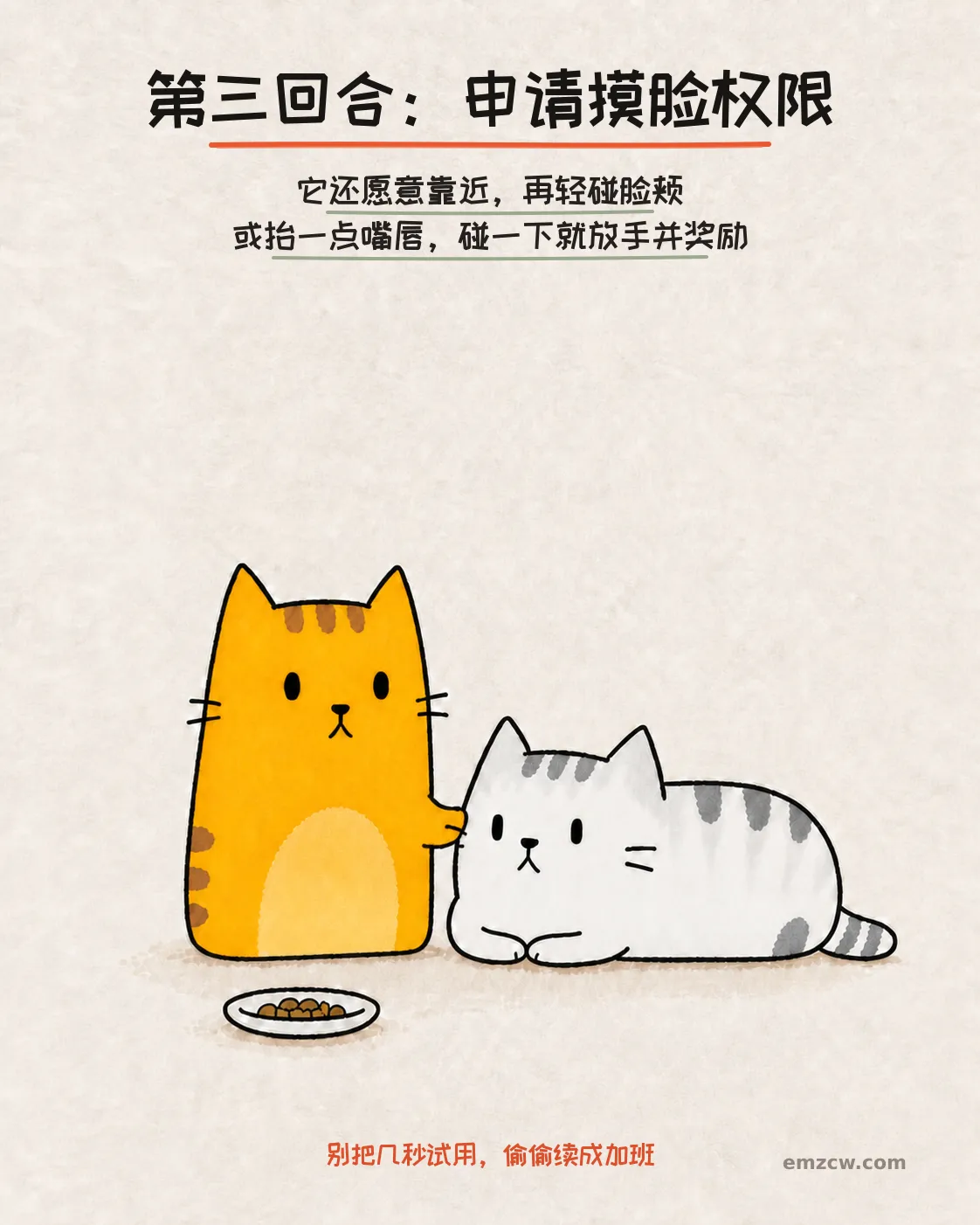 橘猫短暂轻碰放松的银渐层脸颊，旁边放着奖励，演示碰一下就放手并奖励