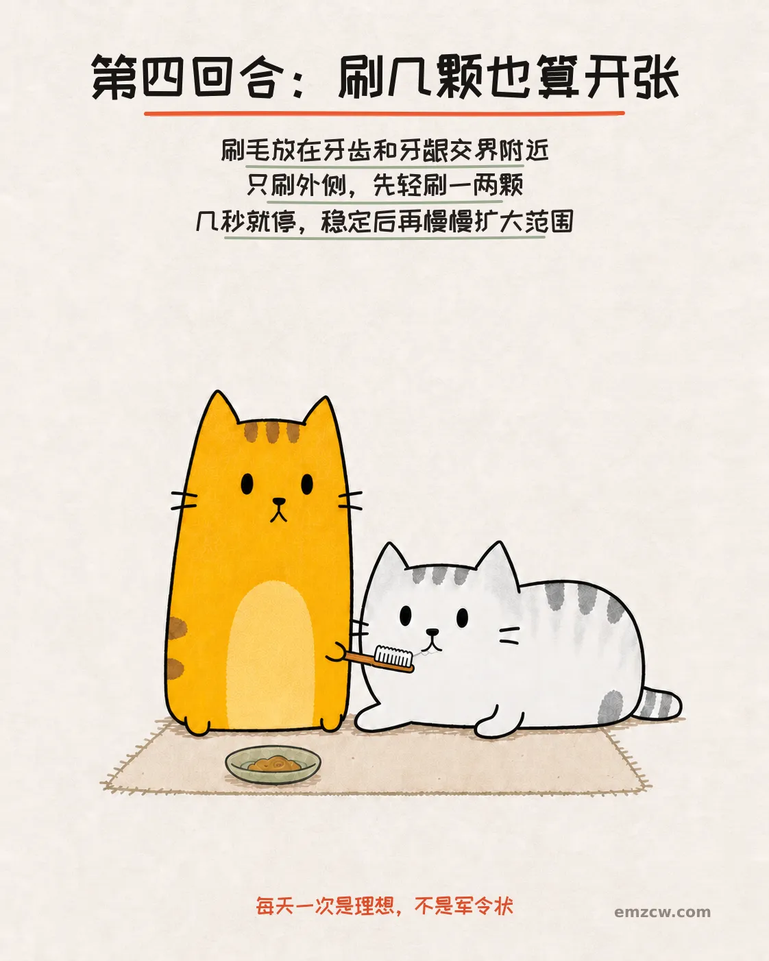 橘猫用软毛牙刷轻刷银渐层牙齿外侧，旁边有奖励，说明先刷一两颗再逐步扩大范围