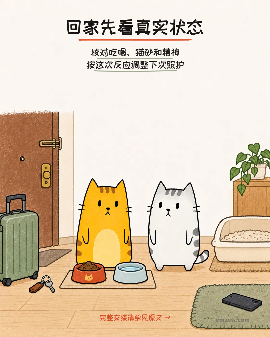 二猫子回家后核对真实食水、猫砂和精神状态,并准备按这次反应调整下次照护
