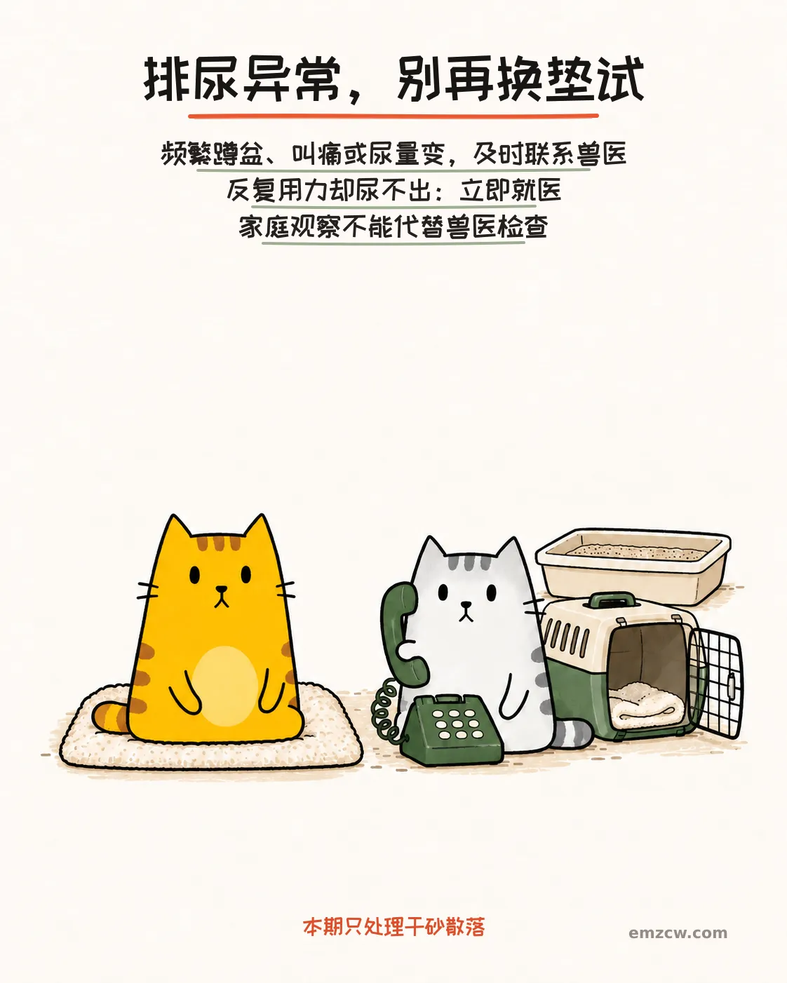 二猫子在软垫、电话和打开的航空箱旁准备求助，说明排尿异常及时联系兽医，反复用力却尿不出时立即就医