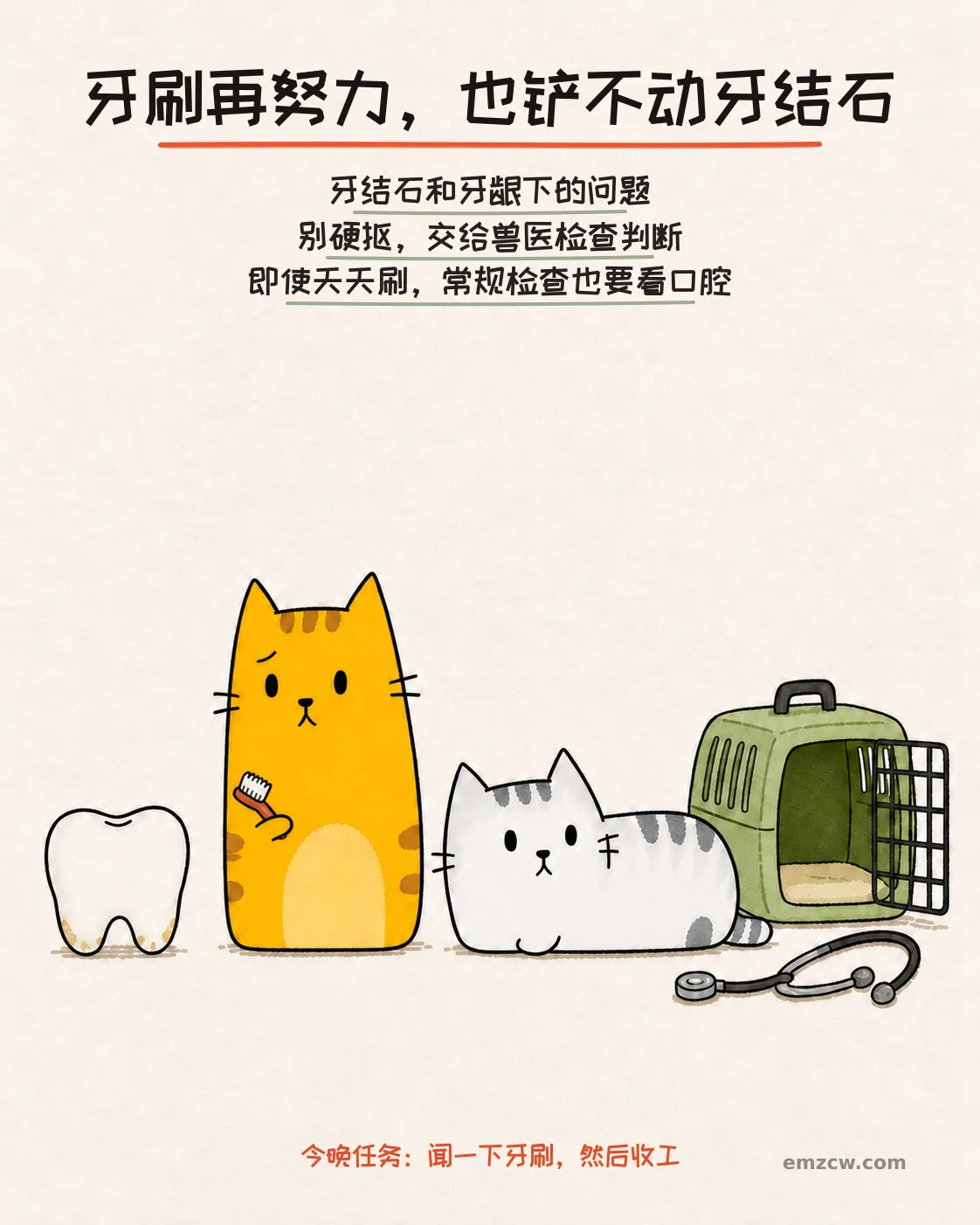 橘猫拿着牙刷面对有硬沉积的牙齿模型，银渐层坐在航空箱和听诊器旁，说明牙结石要由兽医检查判断
