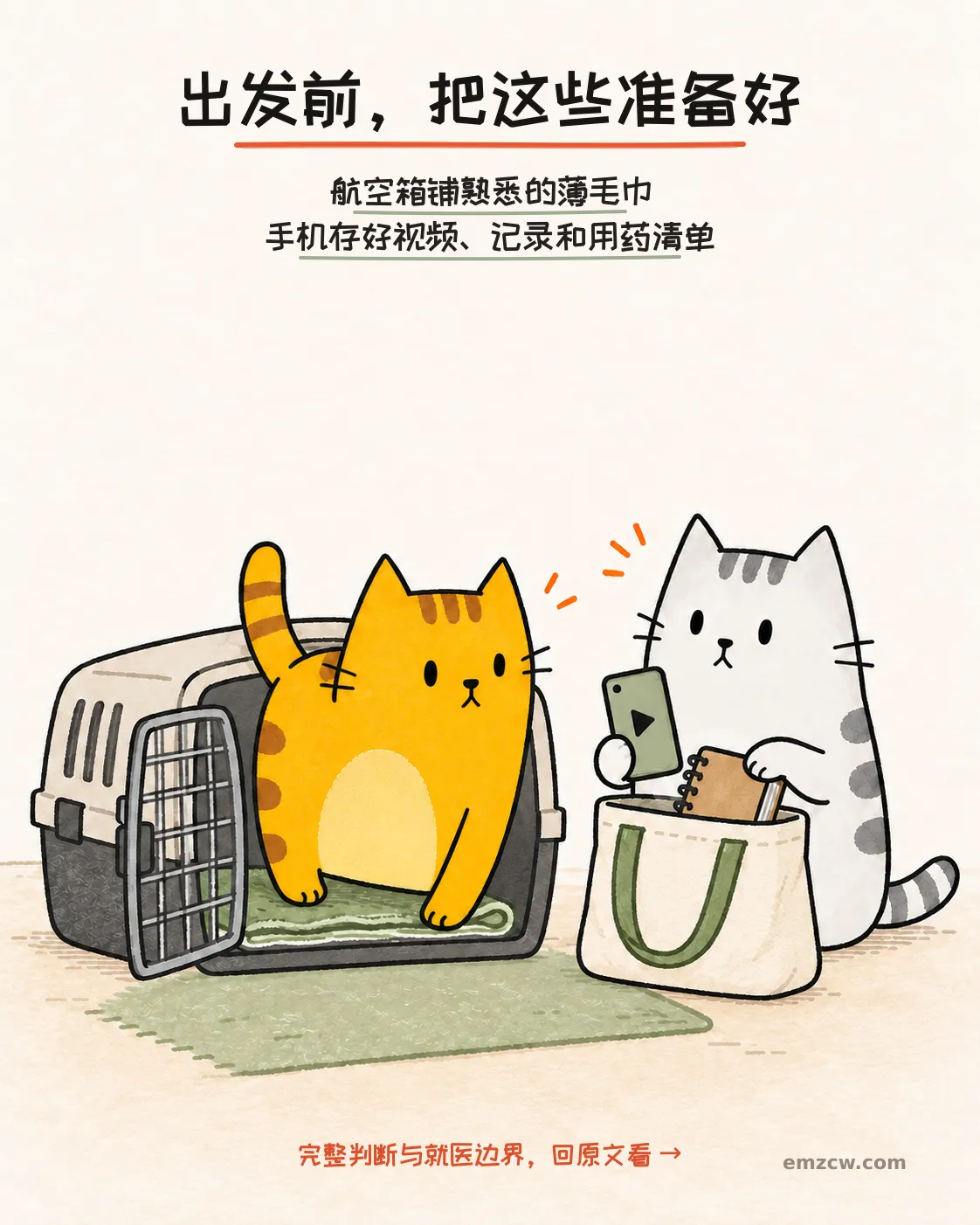 二猫子准备铺有熟悉薄毛巾的航空箱，并收好视频、记录和用药清单