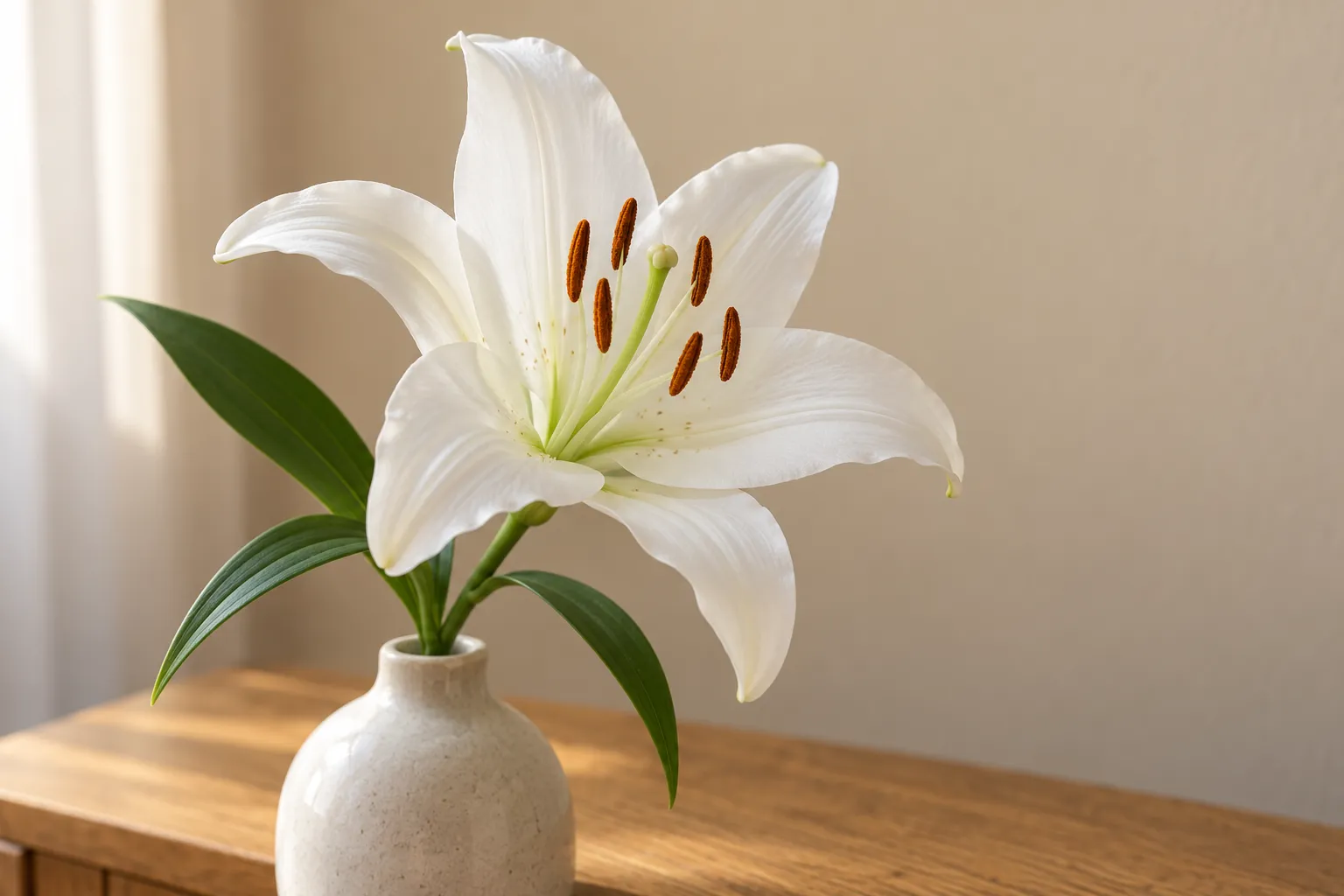 白色百合花的花瓣与棕橙色花药近景，画面中没有猫